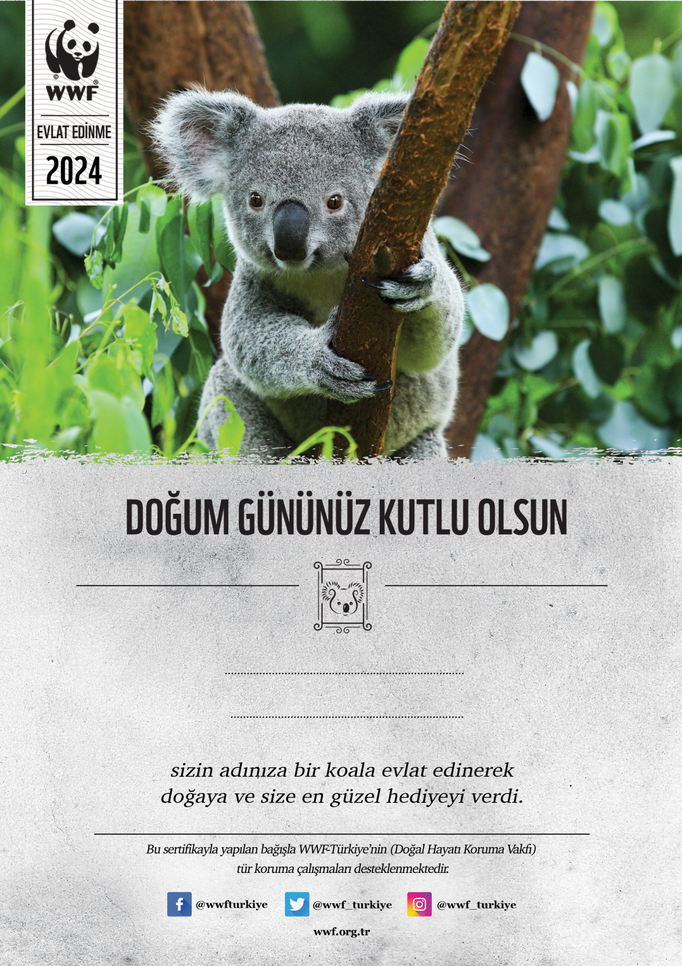 Koala Basılı Sertifika