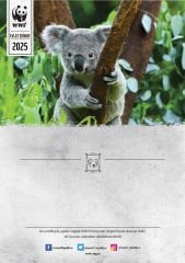 Koala Sertifika & Tohumlu Kartpostal Set