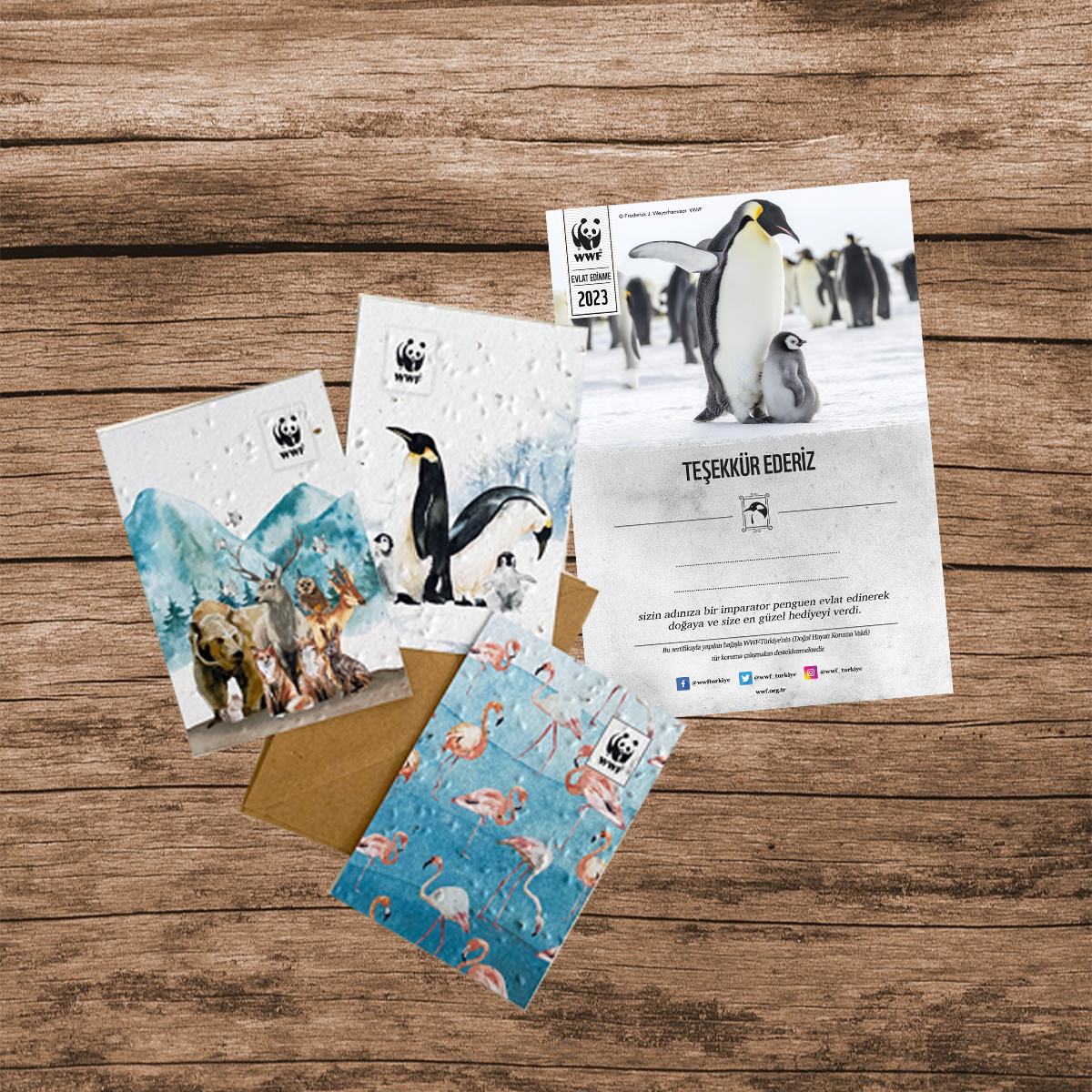 Penguen Sertifika & Tohumlu Kartpostal Set