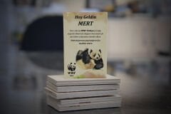 Ahşap Magnet Panda