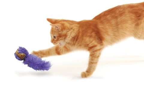 Kong Peluş Kuyruklu Mantar Top Kedi Oyuncağı 19 Cm