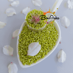 5 g No:012 Miyuki Delica 11/0 Boncuk DB0262 Opak Açık Yeşil