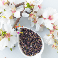 5 g No:048 Miyuki Delica 11/0 Boncuk DB0023 Açık Bronz İRİS