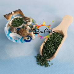 5 g No:160 Miyuki Delica 11/0 BoncukDB0663 Opak Orman Yeşili