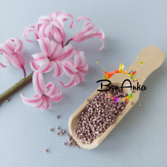 (5 gram) - No:300 Miyuki Delica Boncuk DB-1157 (Galvaniz Kaplama Opak Pembe)