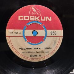 Şükran Ay ‎– Vicdanın Yokmu Senin / Tanrı Verdi Çalmadım Ki 45LİK