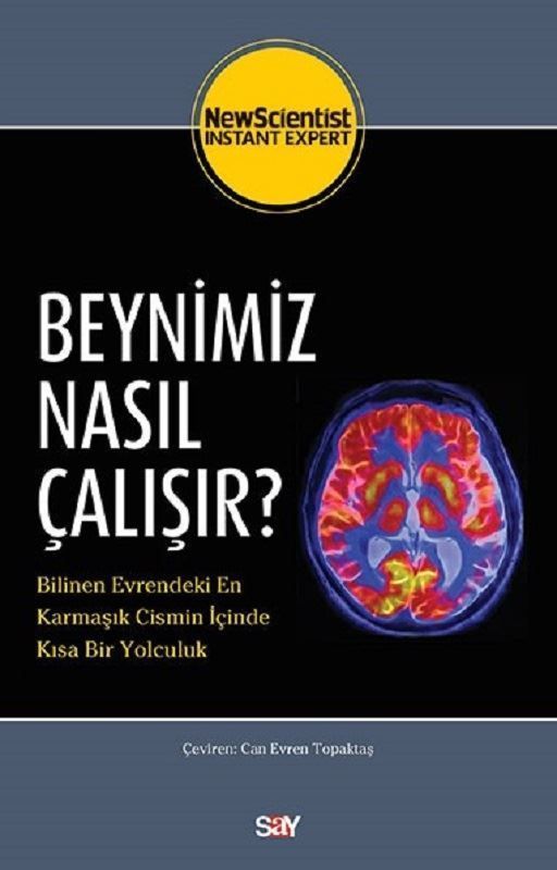 How Does Our Brain Work?