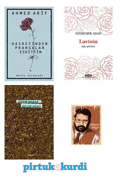 Hasretinden Prangalar Eskittim - Ah'lar Ağacı - Lavinia - Özel Şiir Seti