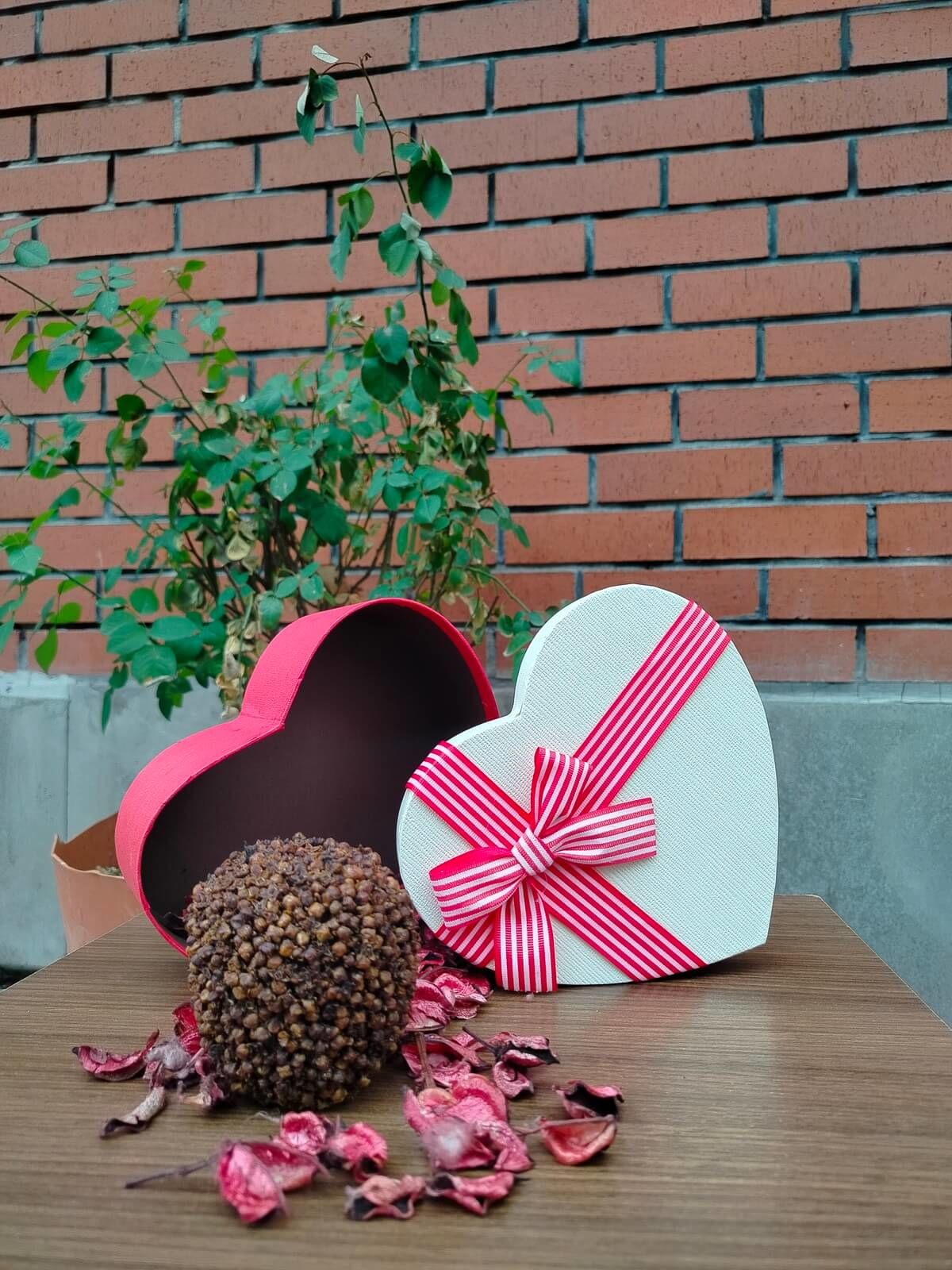 Sêva Mêxekrêş - Karanfil Bezeli Elma - kutulu