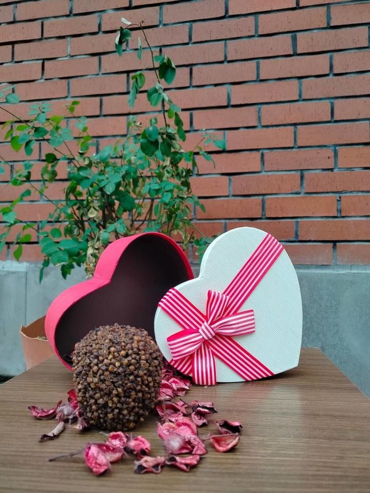 Sêva Mêxekrêş - kutulu