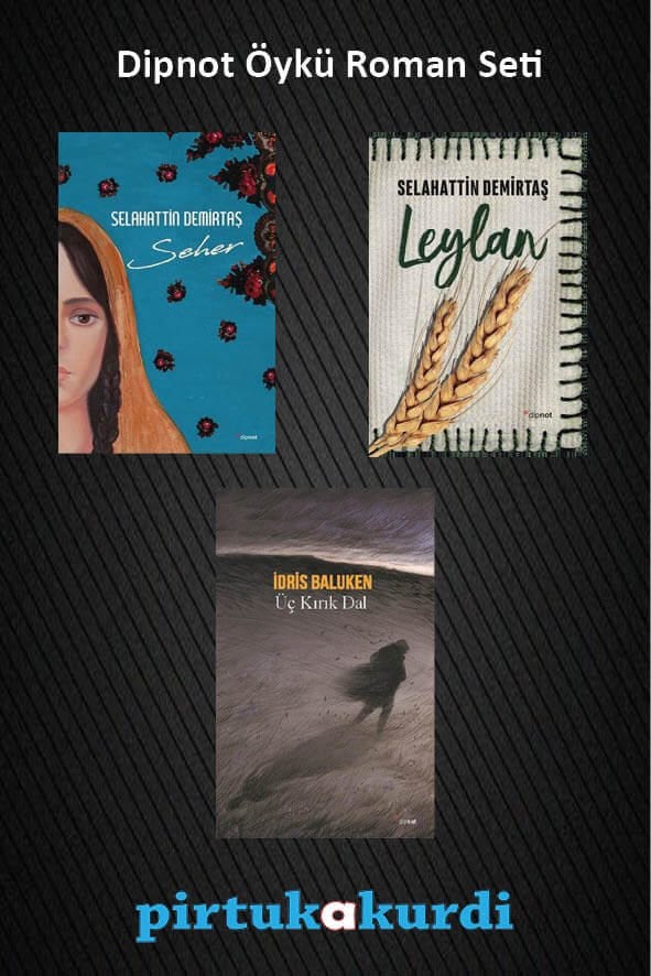Dipnot Öykü Roman Seti