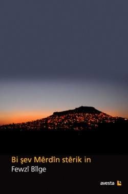 Bi şev Mêrdîn stêrik in
