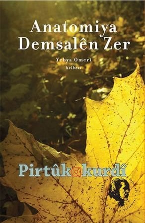 Anatomiya Demsalên Zer