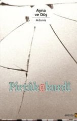 Ayna ve Düş
