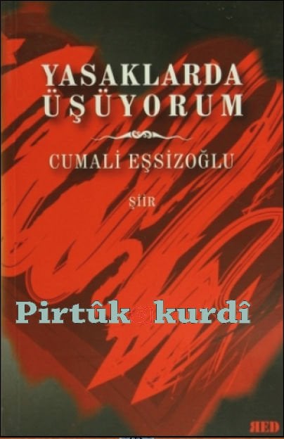 Yasaklarda Üşüyorum