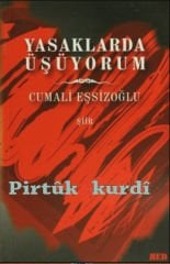 Yasaklarda Üşüyorum