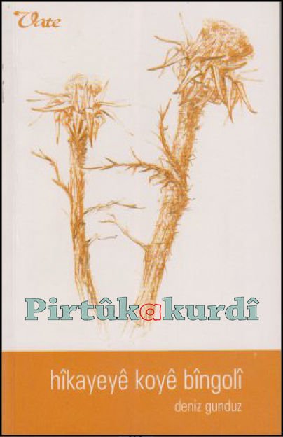 Hîkayeyê Koyê Bîngolî