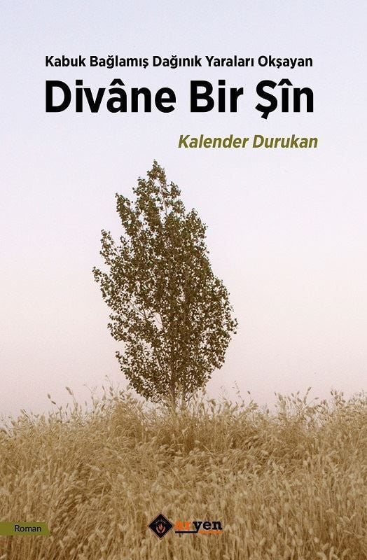 Divane Bir Şin - Kabuk Bağlamış Dağınık Yaraları Okşayan