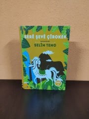 Serê Şevê Çîrokek (DEFOLU)