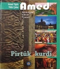 Amed (Erdnîgarî, Dîrok, Çand)