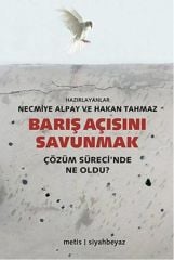 Barış Açısını Savunmak: Çözüm Sürecinde Ne Oldu?