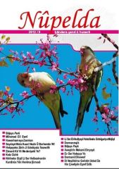 Nupelda 9