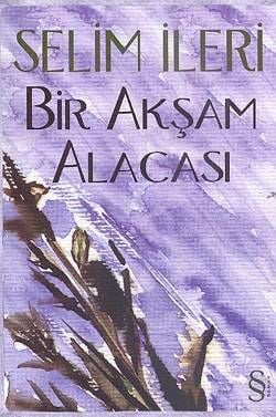 Bir Akşam Alacası
