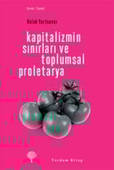 Kapitalizmin Sınırları ve Toplumsal Proletarya