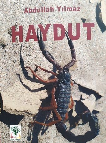 Haydut