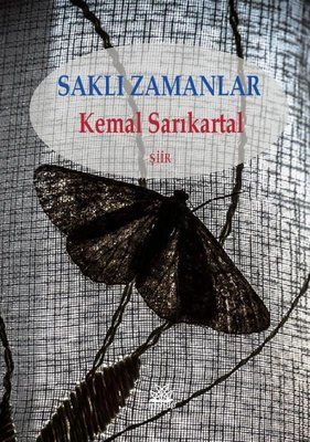 Ressam Kedi Pablo ve Diğer Öyküler