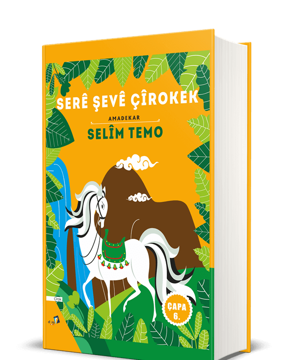 Serê Şevê Çîrokek (Ciltli)