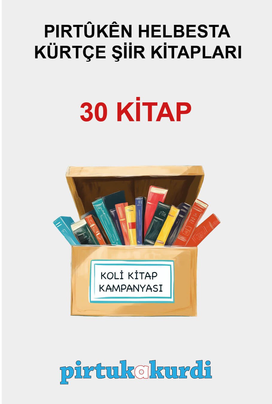 Kürtçe Şiir Kitapları - Koli Kitap Kampanyası (30 KİTAP)