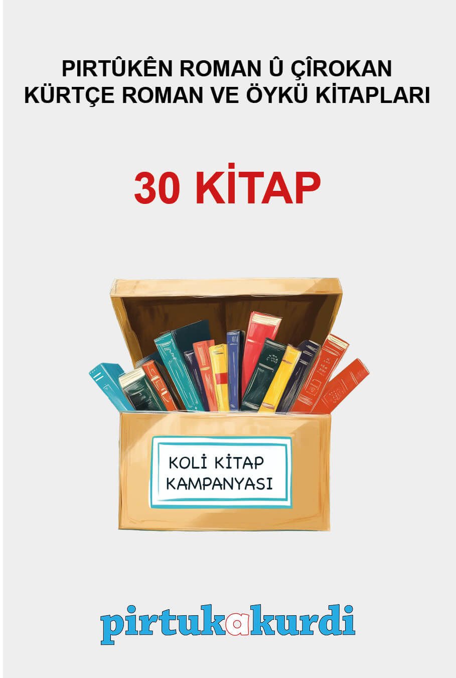 Kürtçe Roman ve Hikaye Kitapları - Koli Kitap Kampanyası (30 KİTAP)
