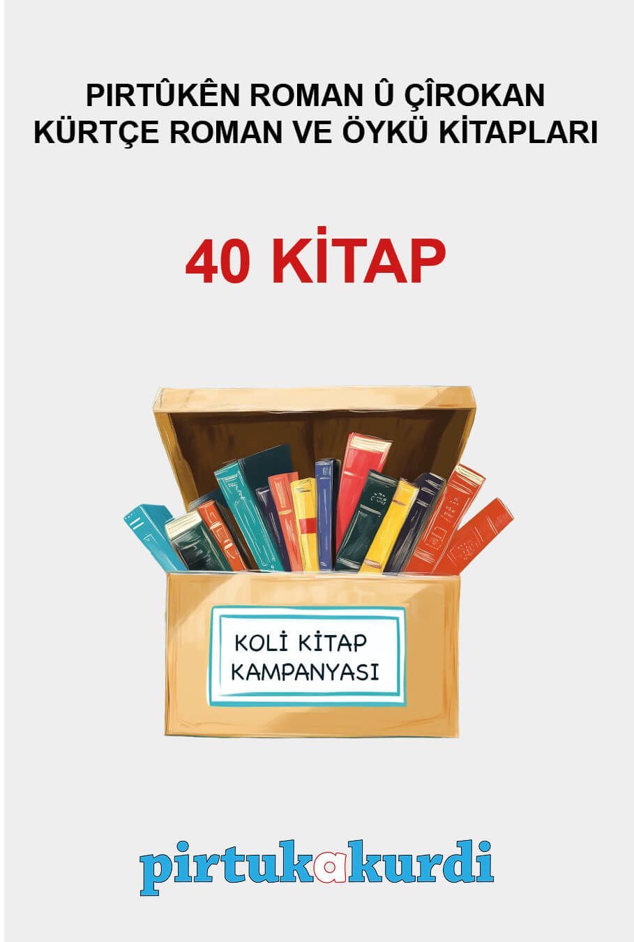 Kürtçe Roman ve Hikaye Kitapları - Koli Kitap Kampanyası (40 KİTAP)