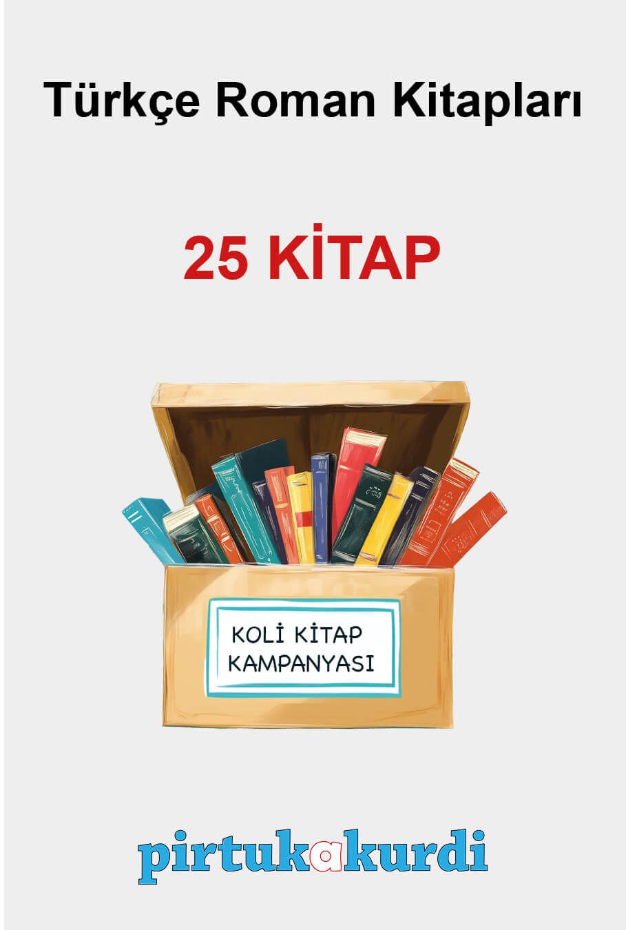 Türkçe Roman Kitapları - Koli Kitap Kampanyası (25 KİTAP)