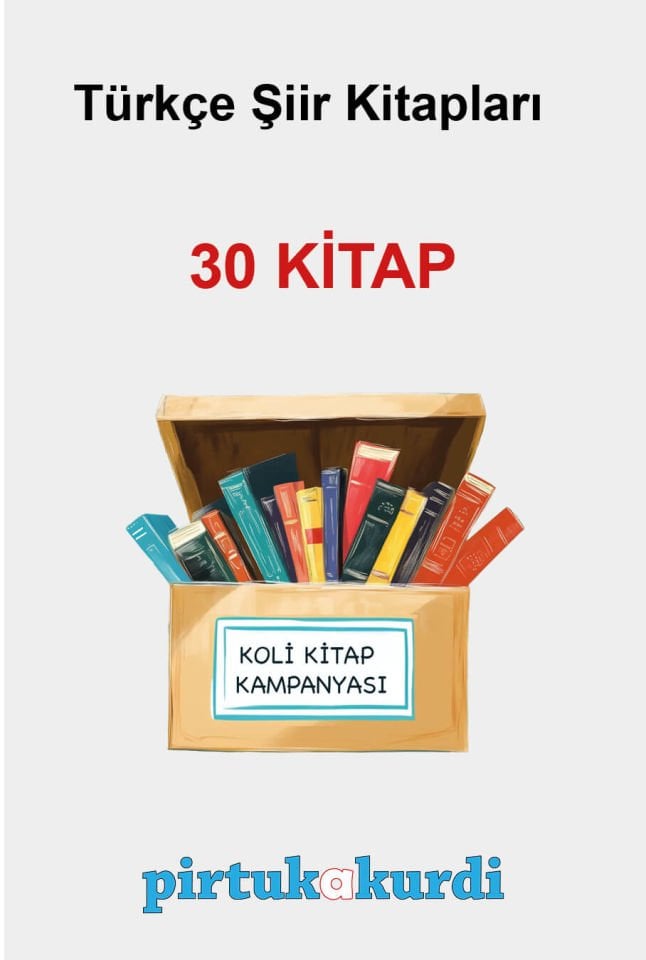 Türkçe Şiir Kitapları - Koli Kitap Kampanyası (30 KİTAP)