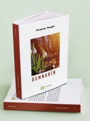 Demnarîn