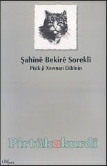 Pisîk Jî Xewnan Dibînin