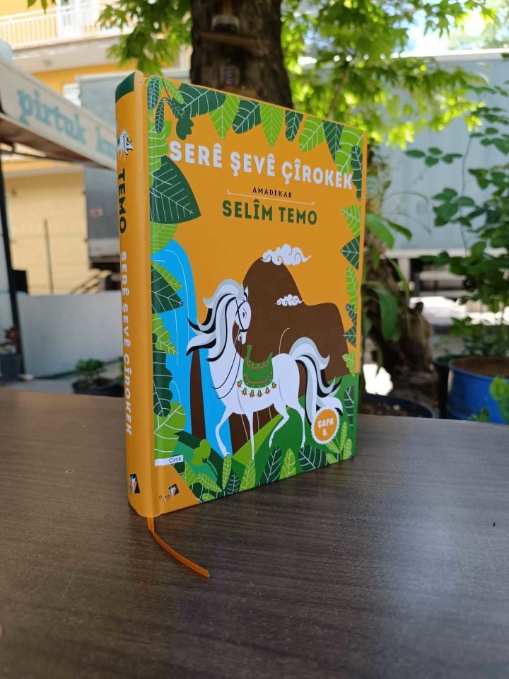 Kürtçe Hikaye ve Eğitim seti - Serê Şevê Çîrokek - Lorîn - Kartên Dîtbarî - Kürtçe Dil Kartları