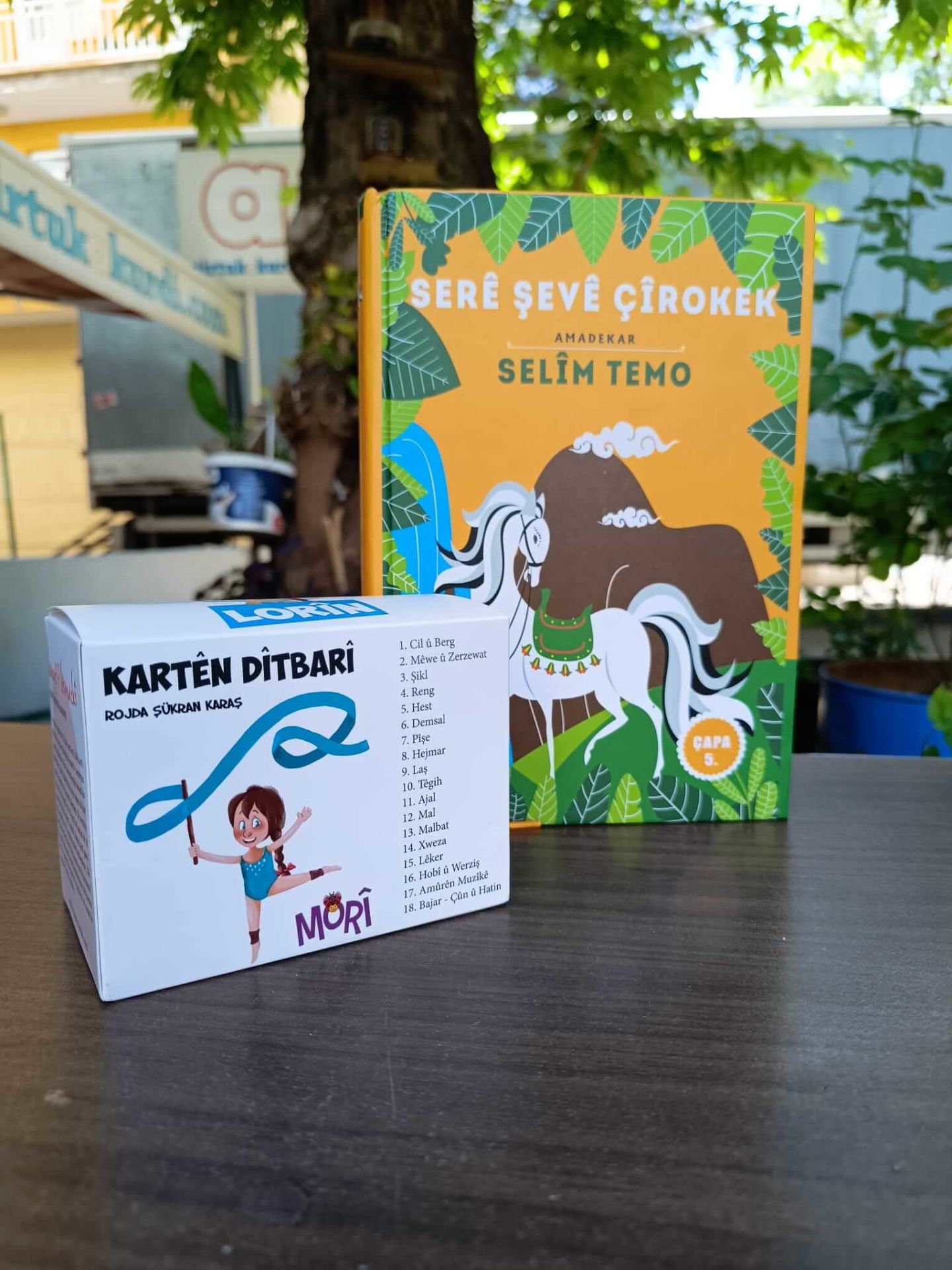 Kürtçe Hikaye ve Eğitim seti - Serê Şevê Çîrokek - Lorîn - Kartên Dîtbarî - Kürtçe Dil Kartları