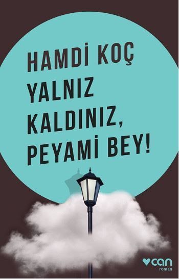 Yalnız Kaldınız, Peyami Bey!