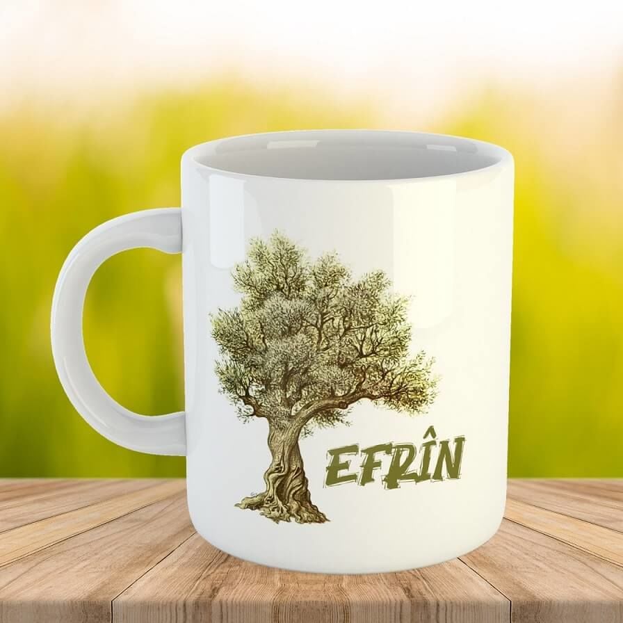 Kupaya Efrînê  - Afrin Kupası