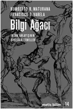 Bilgi Ağacı - İnsan Anlayışının Biyolojik Temelleri