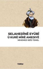 Selahaddînê Eyûbî û Kurê Mîrê Amediyê