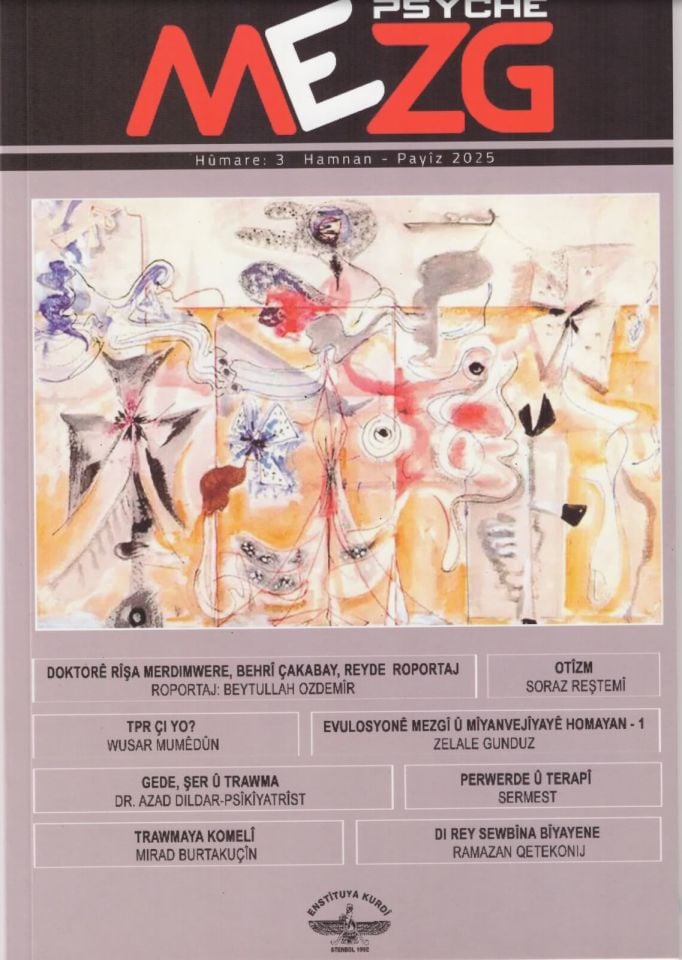 PsycheMezg Dergisi 3