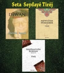 Seta Seydayê Tîrêj