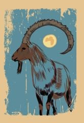 Pezkovî Tasarımlı Not Defteri