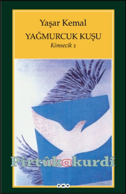 Yağmurcuk Kuşu - Kimsecik 1
