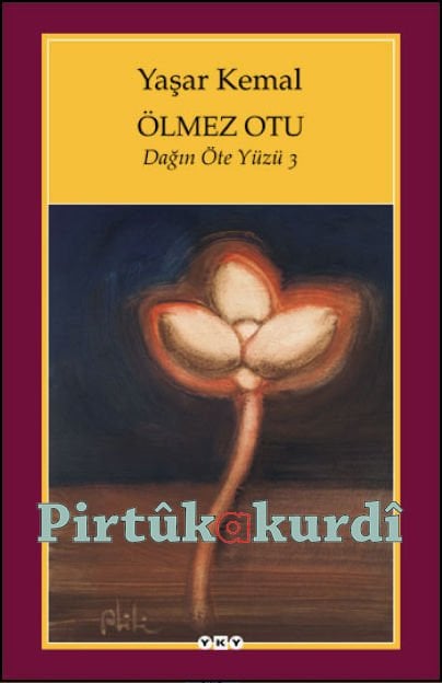 Ölmez Otu - Dağın Öteki Yüzü - 3