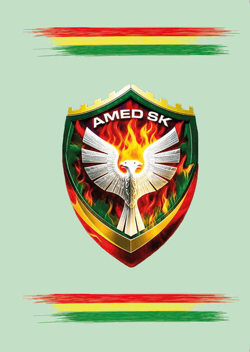 Amedspor Tasarımlı Not Defteri Seti (2 DEFTER)